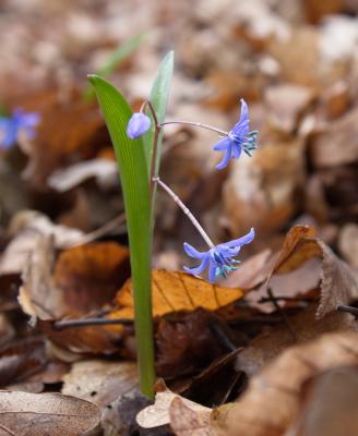 Прикрепленное изображение: 6_IMG_1852_р.jpg